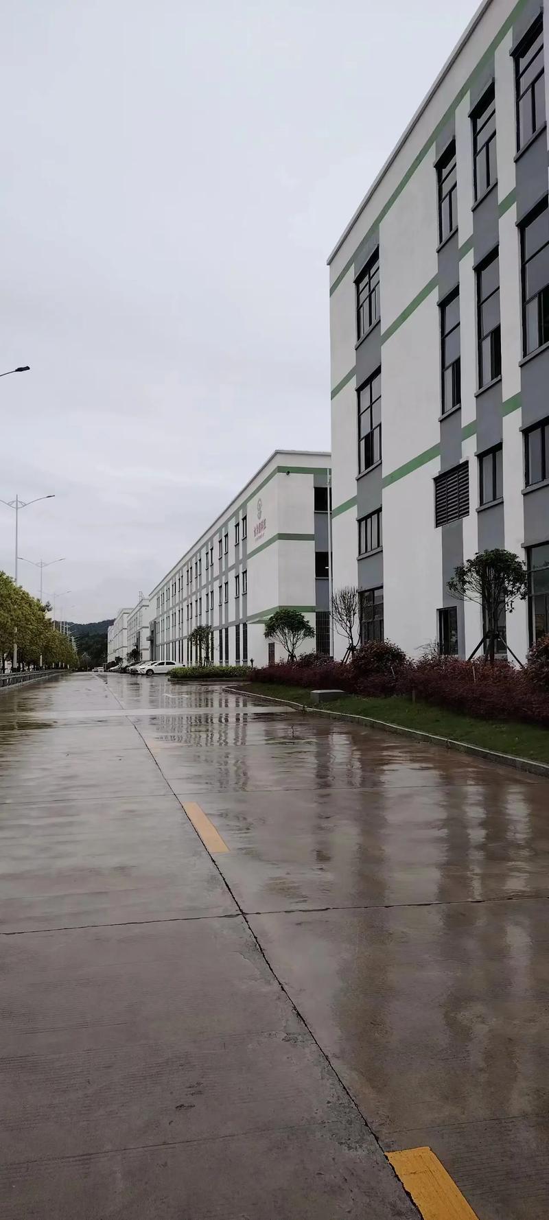 手推式洗地机  ZS55/50BT 2